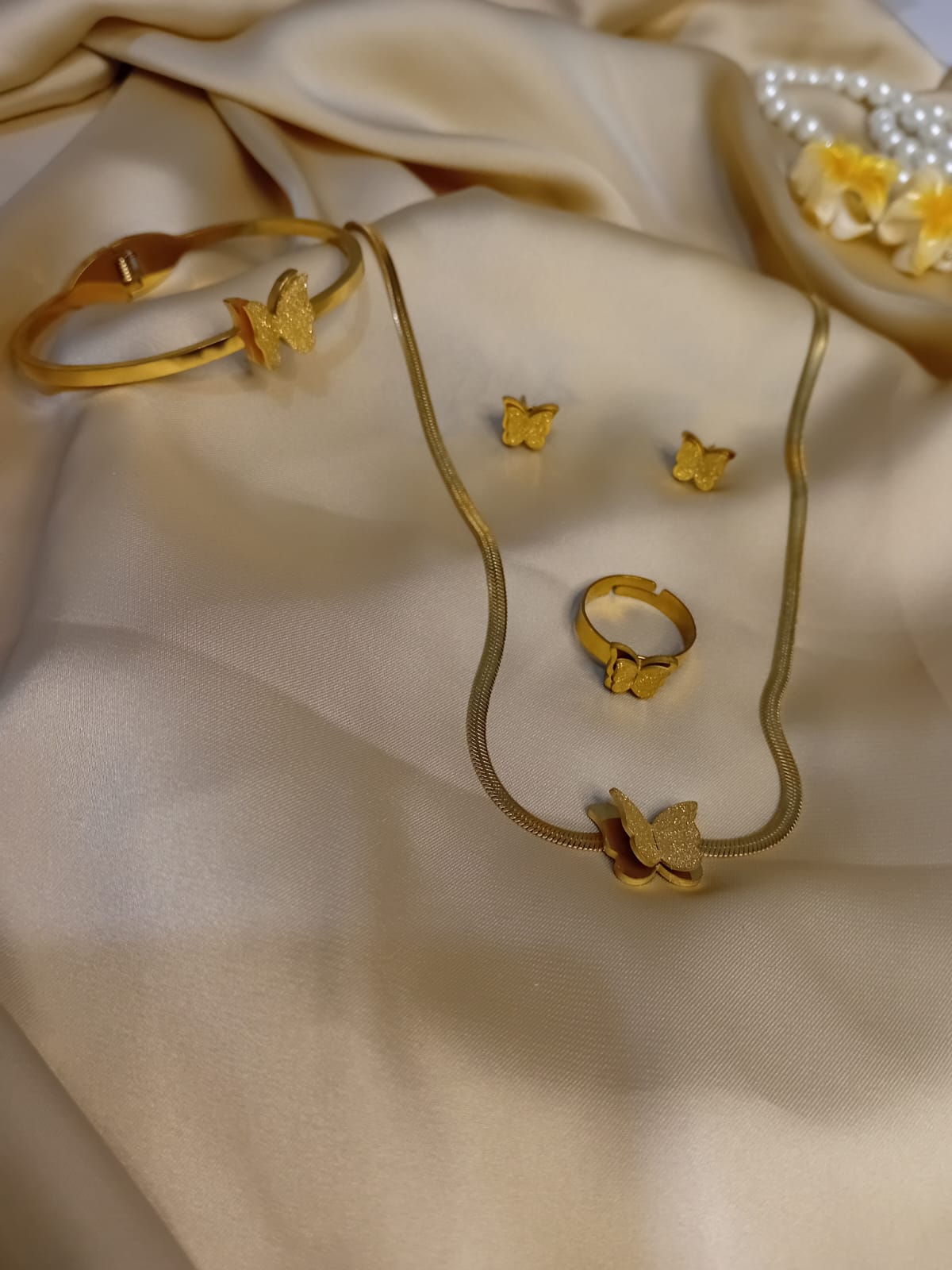 Beautiful Butterfly Locket Set